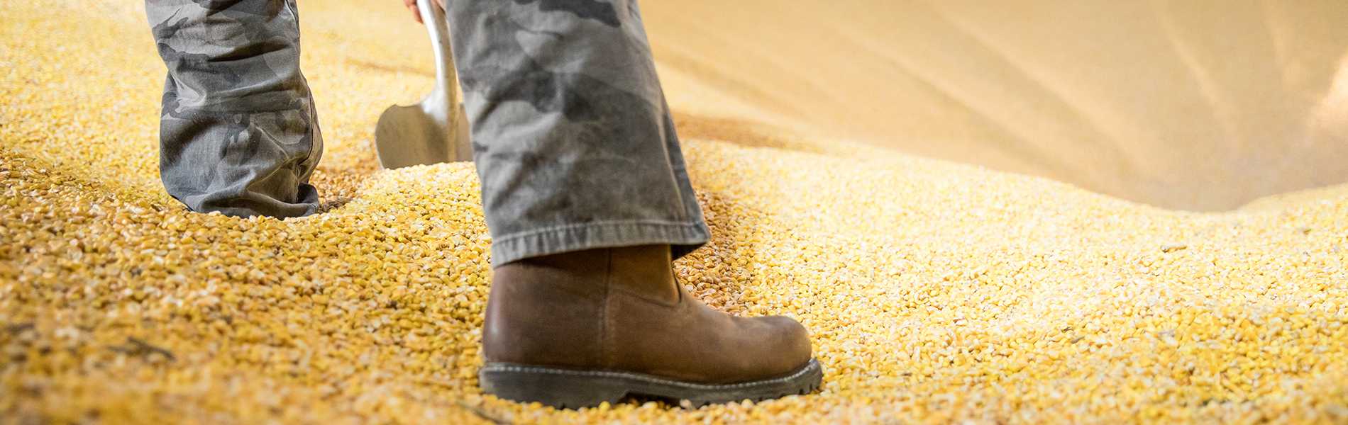 caterpillar steel toe pull on boots