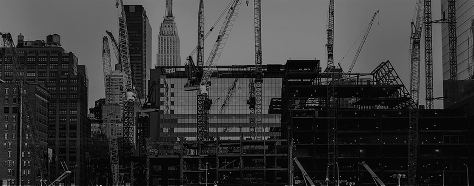 Discover Innovation Cat Footwear