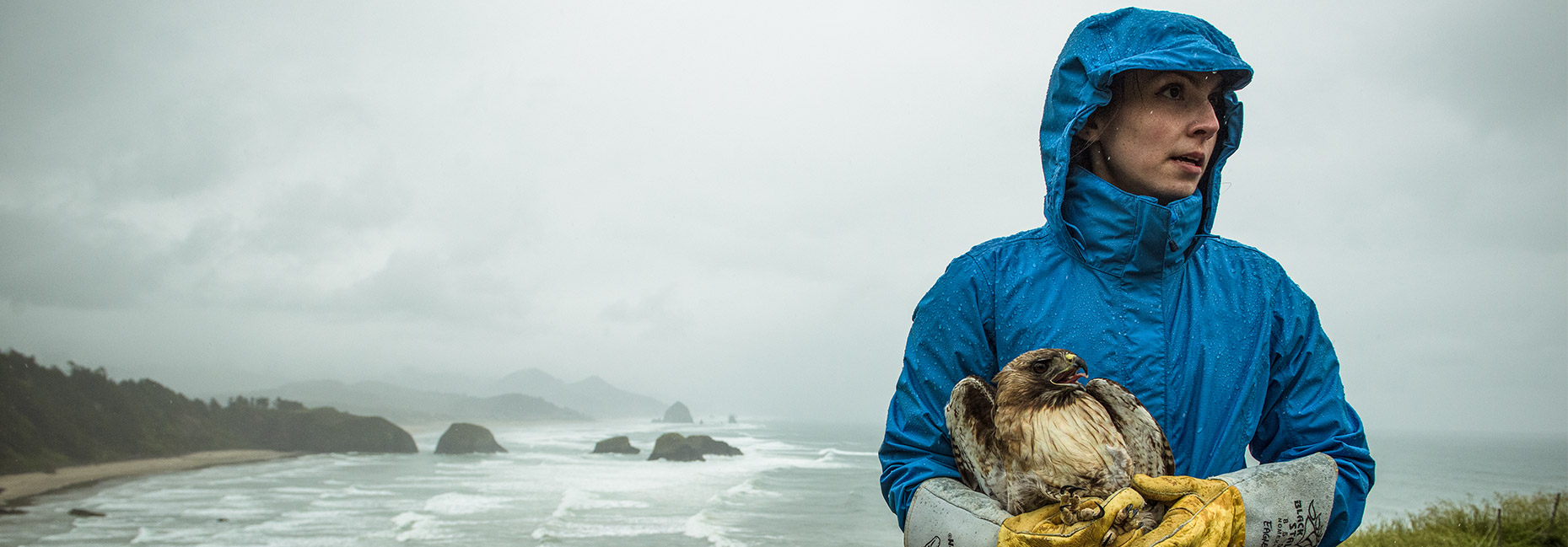 Woman in blue raincoat holding a halk in her arms, in front of a rocky coastline.