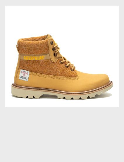 Cat shoes online clearance shopping